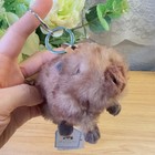 Jellycat Clyde Capybara Keychain Bag Charm Plush Cute Gift Collectible Nwt