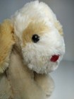 Dan Dee Stuffed Animal Puppy Dog Plush Toy Cream White Tan Brown With Red Nose