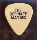 Eric Clapton  the Definate Maybes Vintage Guitar Pick 1989 Journeyman World Tour