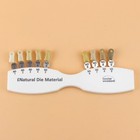 Dental Ivoclar Vivadent Dental Shade Guide Natural Die Nd1-9 Color Bleach Teeth