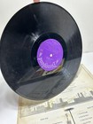 Lot Of Vintage Walt Disney Vinyl Albums storybooks And Other Misc Albums