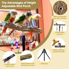 16-63 Inch Height Adjustable Bird Perch Pepper Wood Parrot Training Perch Sta   