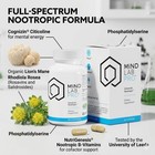 Universal Nootropic Brain Support Capsules 60ct - 2 Pack - Focus   Memory Aid