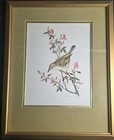 Lot Of 2 Signed Vintage Matted - Framed A marlin Bird Art Print 15x12    Sw18