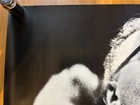 Bruno Walter   Vintage 1980s Cbs Sony Japan Original Promo Poster A1 23x33in