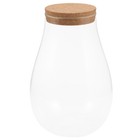 Table Centerpieces Water Bottle Hydroponics Desktop Glass Terrarium