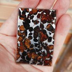 Sericho Pallasite Meteorite Slice From Kenya 40 60mm