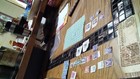 Stamp Collection
