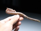 Ancient Hongshan Culture Old Jade Stone Bird Dragon Hairpin Amulet Pendant Y579
