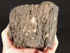 Larger  219 Million Year Old Petrified Wood Fossil From Jurassic Utah  1435gr
