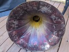 Antique Edison   Cylinder Player Phonograph Horn  Hand Painted  Flowers