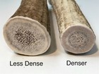 Best Value  2 Pounds Of Seasoned Deer   Elk - Whole Antler Dog Chews -med   Lg