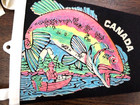 Vintage 1970s Winnipeg Manitoba Canada Pennant Banner 23  Fishing Fish