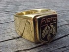 Pontiac Fiero Gold Chrome Ring  8 Nos Hi- Quality Class Unique
