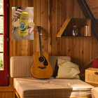 Pacifico Clara Beer 16x24 Sexy Girl Vintage Retro 90s Style Bar Pub Decor