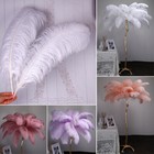 Wholesale 10 50 100pcs Ostrich Feathers 6-28 Inch 15-70cm Wedding Party Decor