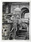 Vintage Photo Colombo Ceylon Sri Lanka Elephant Howdah Local Native People 1940s