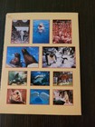 Seaworld Adventure Parks Postcards 12 Pack Glossy New Excellent Condition 