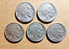 Us Coins  5 Buffalo Nickels -  Weak To Full Dates   Free Shipping 