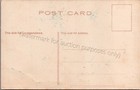 Waterbury  Ct  Pig Comic - Vintage New Haven County  Connecticut Postcard