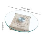Hamster Wheel Platform Quiet Running Wheel For Gerbils Hedgehog Hamsters
