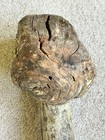 Carved Burl Wood Root Knot Ball War Club Stick Weapon Cudgel Hammer 27  3 5lbs