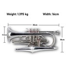 Echo Cornet Brass In Bb 4 Valve Brass Finish With Case And Mouthpiece Band Brs