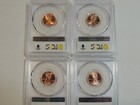 2009 D  Lincoln Cent Pcgs Ms66rd Penny  4 Coin Set Gold Shield Label