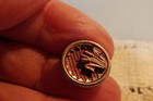 Small Victorian Brass Button  Rose Color Tint  Cat Tails  359 