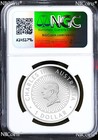2025 Australia Opal Lunar Year Of The Snake 1 Oz Silver Proof Coin Ngc Pf69 Fr
