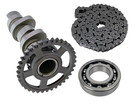 04-09 Crf250r Crf 250r 250x Crf250x Stage 1 Hotcams Cam Skf Bearing Timing Chain