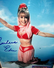 Vintage Barbara Eden Hand-signed 8  X 10  Matted Photo Inside Silver Frame