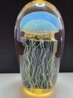 Awesome  Signed Richard Satava Moon Jellyfish 4 5  Art Glass Paperweight 025-13