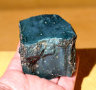 Polished Green Jasper Replaced Petrified Jasperised Wood Hampton Butte  Oregon