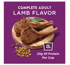Purina Dog Chow Complete Dry Dog Food For Adult Dogs High Protein  Lamb  44 Lb