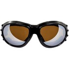 Eagle Anti-fog Driving Mirror Lens Black Frame Motorcycle Goggles By Birdz
