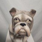 1974 Universal State Large Bulldog Ceramic Figurine Statue In Cream grey tan