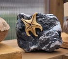 Dried Tiny Starfish Attatched To Black And White Calcite Rock  Coastal Decor    