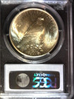 1922 Peace Dollar Pcgs Ms63 Nice Coin