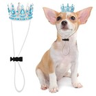 Dog Birthday Crown Queen For Pet Costume Small Light Blue