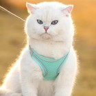 Escape Proof Adjustable Vest Cat Harness With       Breathable Cat Harness New