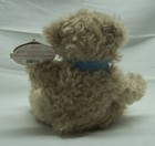 First   Main Scraggles The Teddy Bear 5  Plush Stuffed Animal Toy New