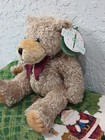 First   Main Scraggles Teddy Bear  Brown Plush Soft Toy Stuffed   1864 11 