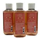 New Bath   Body Works Lot Of 3 Bottles In The Sun Body Wash Shower Gel 10 Oz