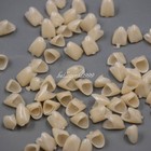 50 Pcs Dental Crown Veneers Anteriors Front Synthetic Resin Teeth Temporary