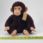 Aurora Destination Nation Chimpanzee Monkey Plush Stuffed Animal Brown 12 Inch