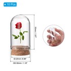 10pcs Cloche Glass Dome Glass Bell Jar Display Case With Cork Base 1 97 x1 18 