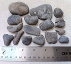 16 Michigan Charlevoix Stone Favosites Unpolished Coral Fossil Specimen Display