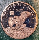 1981-s Sba 1  Dcam  proof  Susan B  Anthony Dollar  free Shipping 