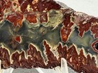 Aaa  Idaho Sunset midnight Inferno Jasper Agate Slab Set  Lot 211